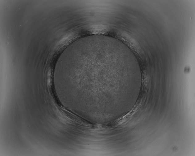 X0000098230074200805011308