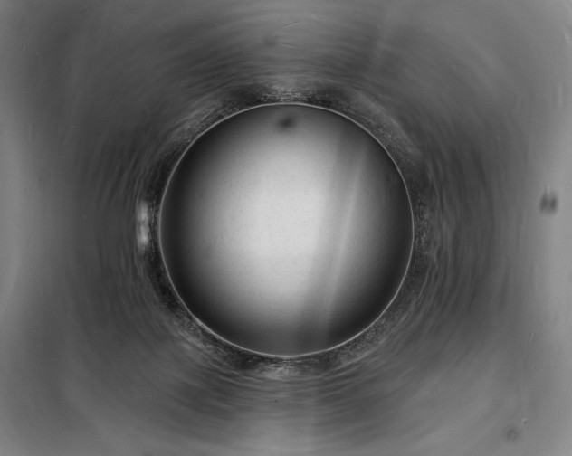 X0000098230075200805011308