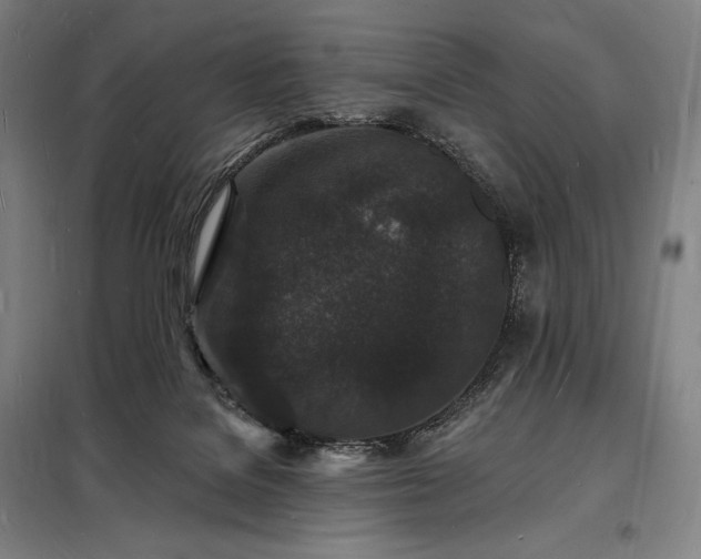 X0000098230076200805011308