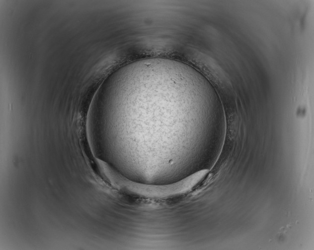 X0000098230077200805011308