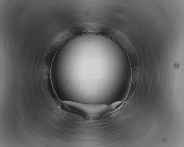 X0000098230078200805011308