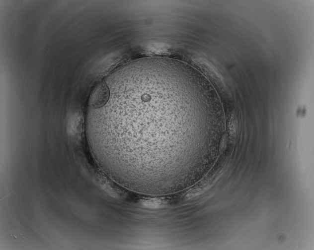 X0000098230079200805011308