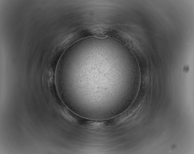X0000098230081200805011308