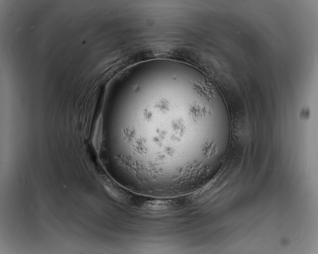 X0000098230082200805011308