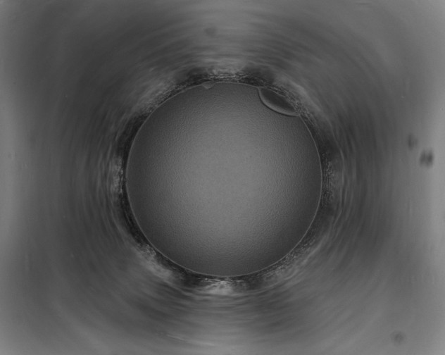 X0000098230083200805011308