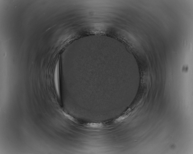 X0000098230084200805011308