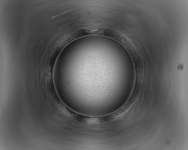 X0000098230085200805011308