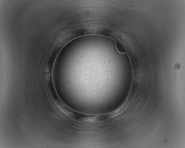 X0000098230086200805011308