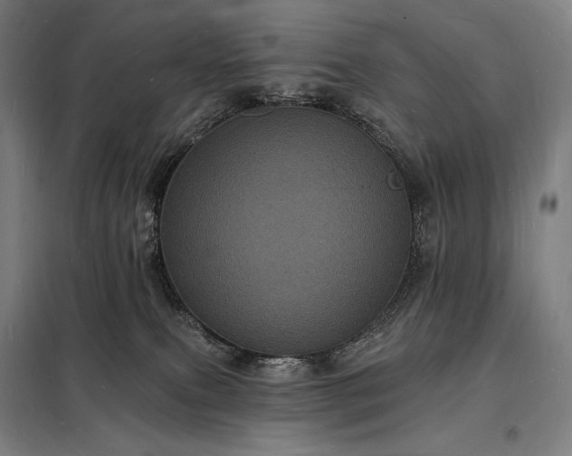 X0000098230087200805011308