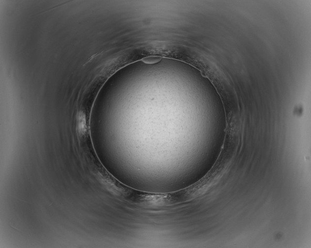 X0000098230089200805011308