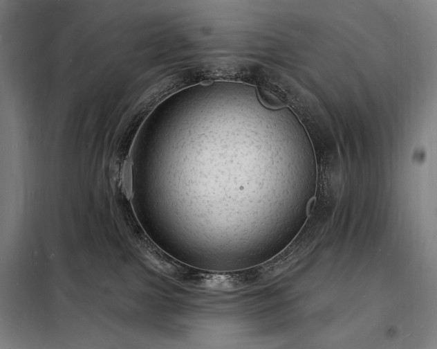 X0000098230091200805011308