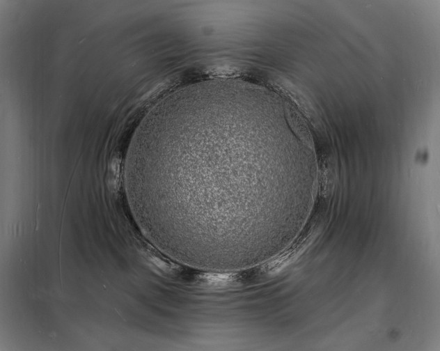 X0000098230093200805011308