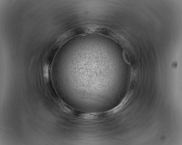 X0000098230094200805011308