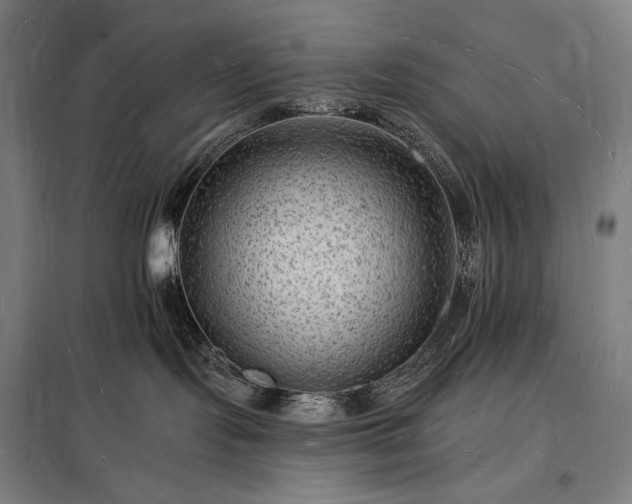 X0000098230095200805011308