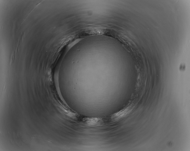 X0000098230096200805011308