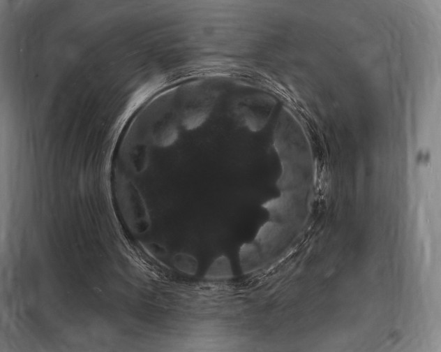 X0000098230099200805011307