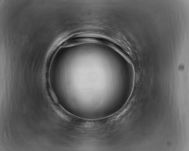X0000098230101200805011307