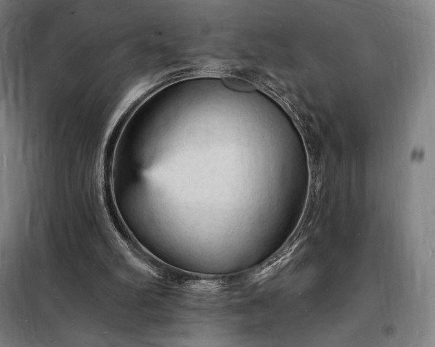X0000098230102200805011307