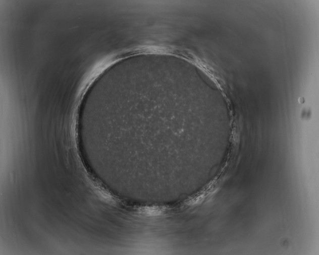X0000098230103200805011307
