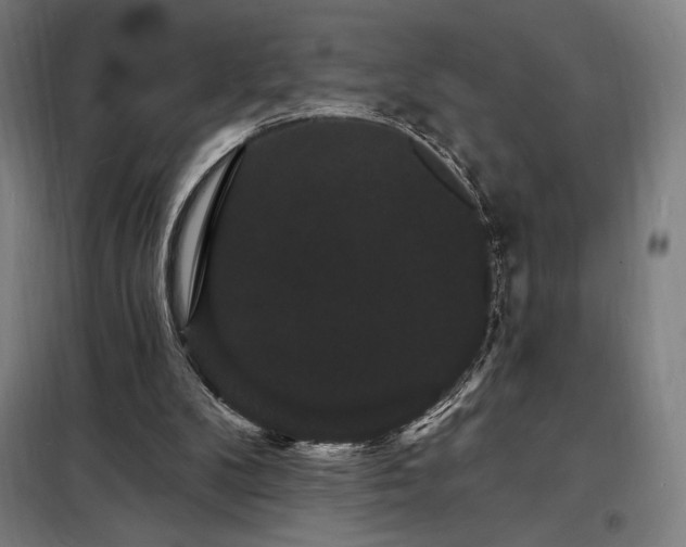 X0000098230104200805011307