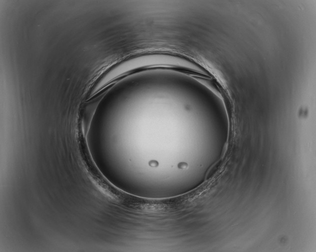 X0000098230105200805011307