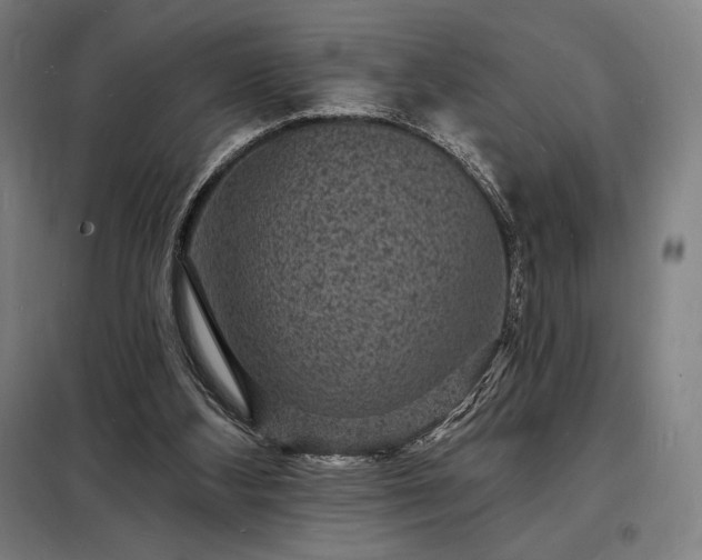 X0000098230108200805011307