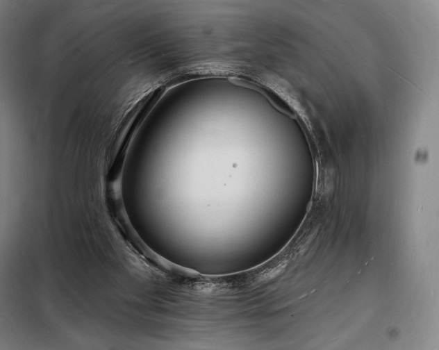 X0000098230109200805011307