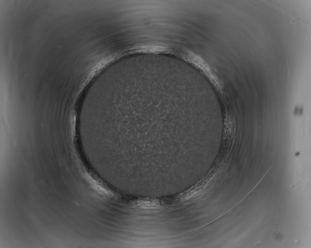 X0000098230110200805011307