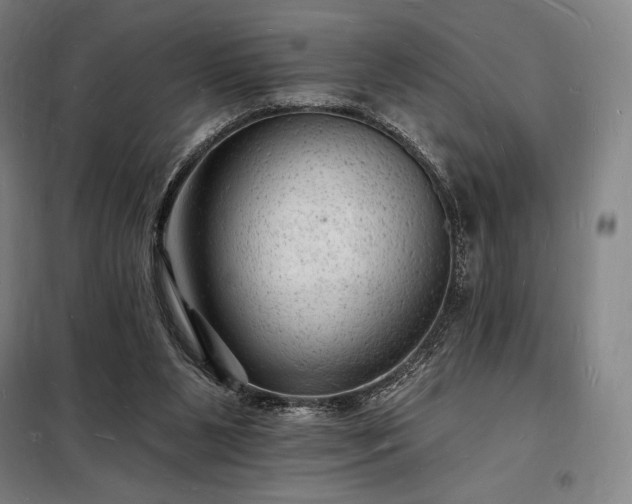 X0000098230111200805011307