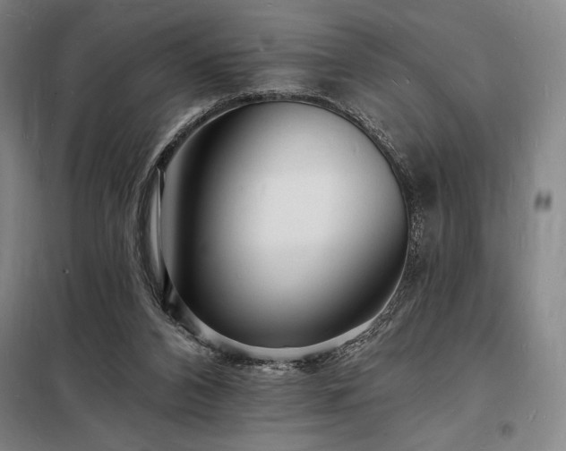 X0000098230112200805011307