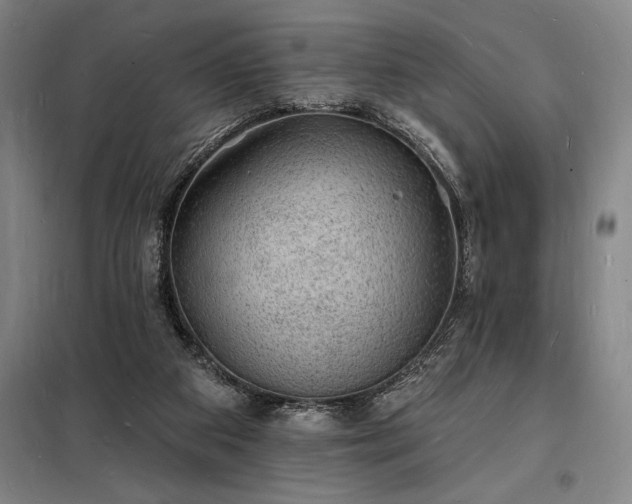 X0000098230113200805011307