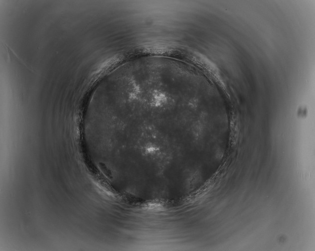 X0000098230114200805011307