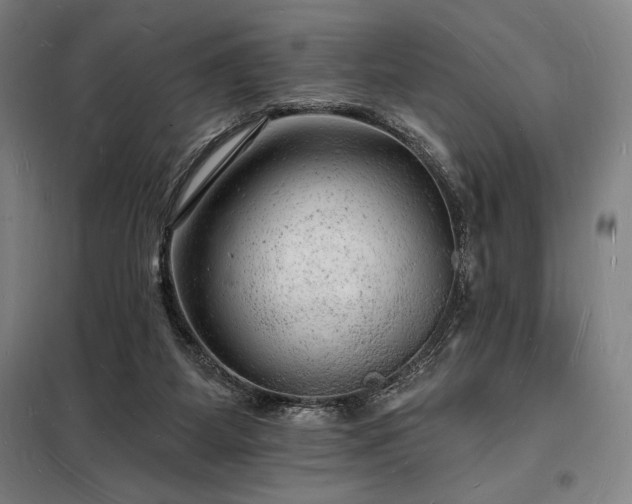 X0000098230115200805011307