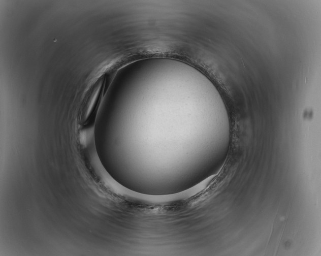 X0000098230116200805011307