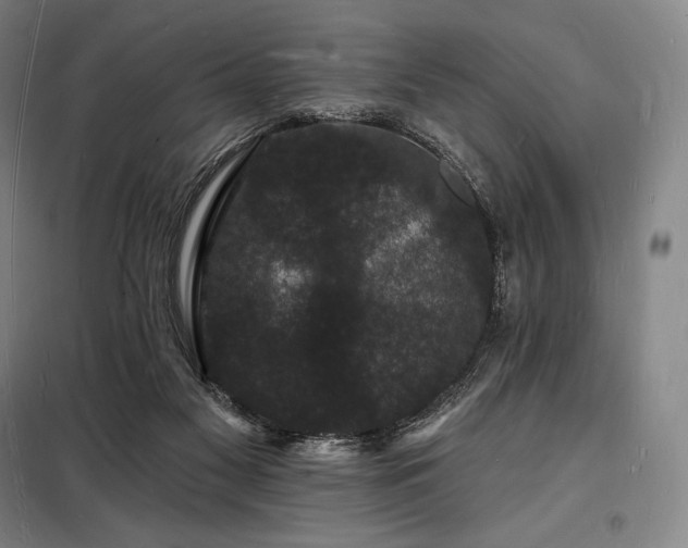 X0000098230117200805011307