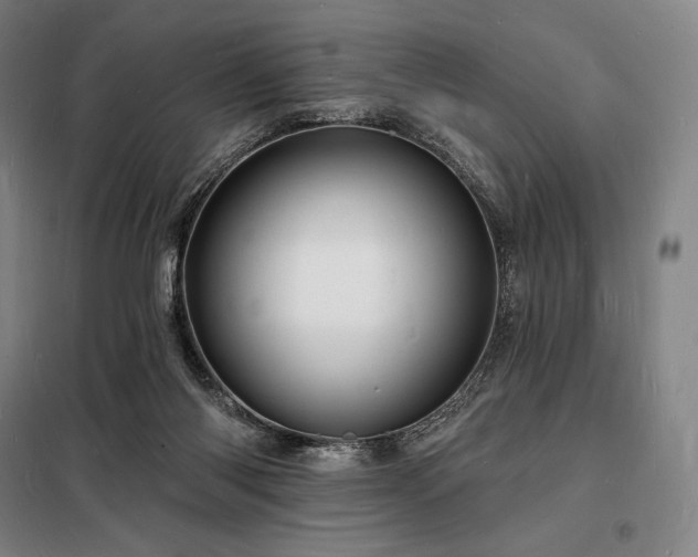 X0000098230118200805011307