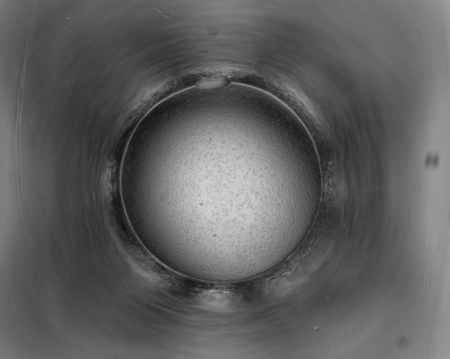 X0000098230119200805011307