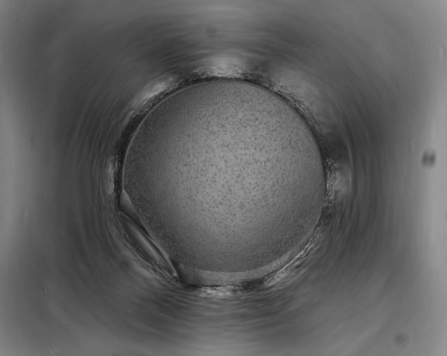X0000098230120200805011307
