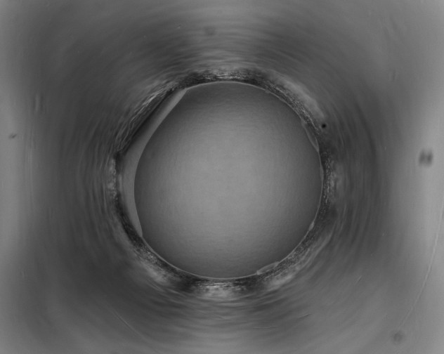 X0000098230121200805011307