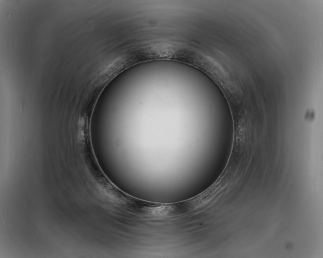 X0000098230122200805011307