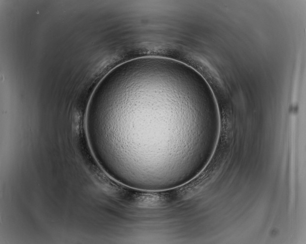X0000098230123200805011307