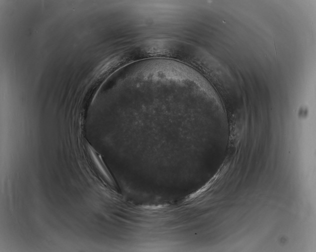 X0000098230124200805011307