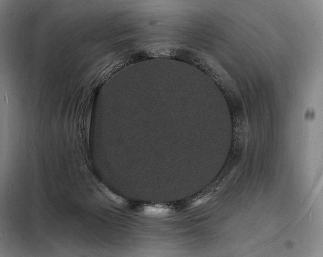 X0000098230125200805011307