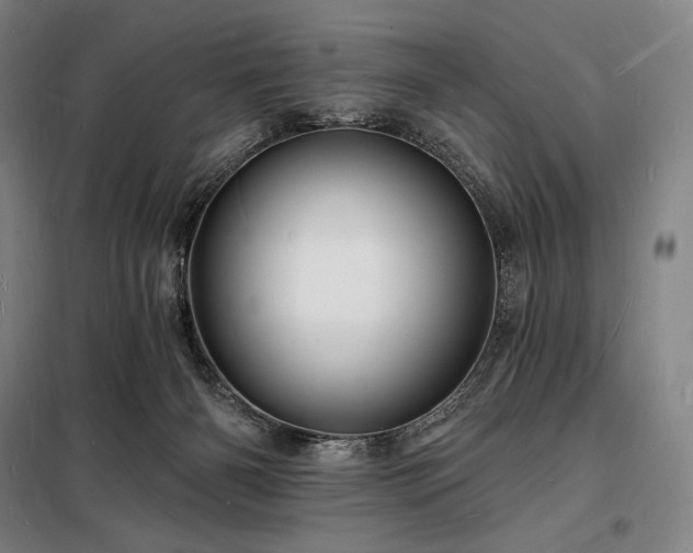 X0000098230126200805011307