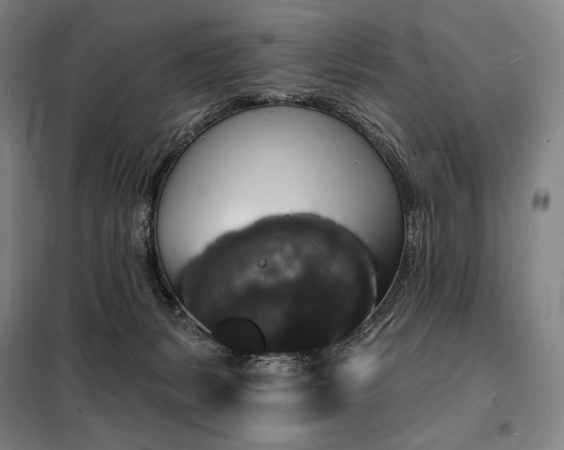 X0000098230127200805011307