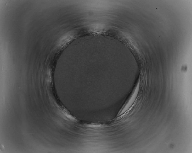 X0000098230128200805011307