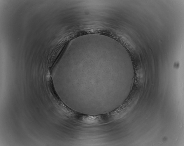 X0000098230129200805011307