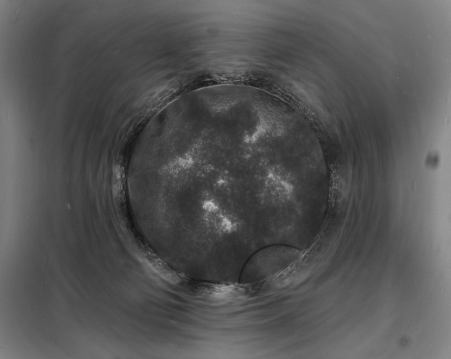 X0000098230130200805011307
