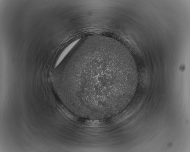 X0000098230131200805011307