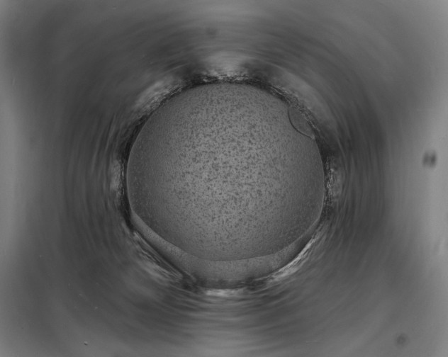 X0000098230132200805011307